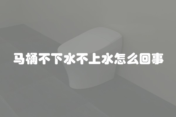 马桶不下水不上水怎么回事