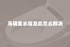 马桶里水箱发臭怎么解决