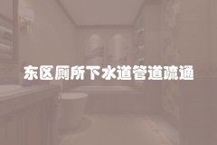 东区厕所下水道管道疏通