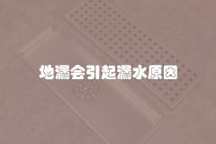 地漏会引起漏水原因