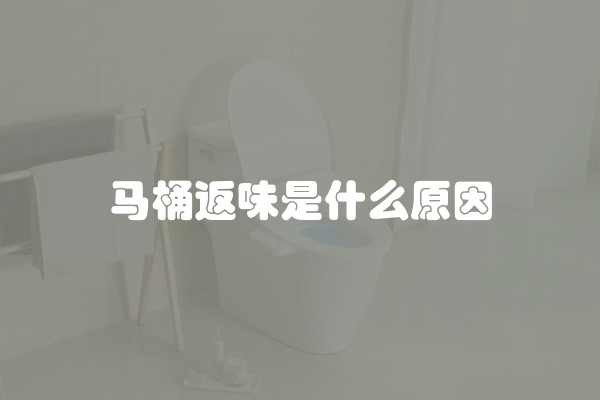 马桶返味是什么原因