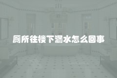 厕所往楼下漏水怎么回事