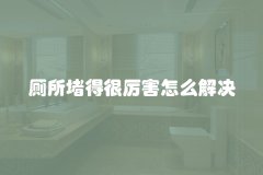 厕所堵得很厉害怎么解决