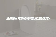 马桶里有很多黄水怎么办