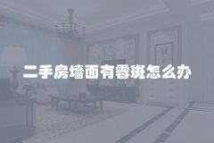 二手房墙面有霉斑怎么办