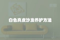 白色真皮沙发养护方法