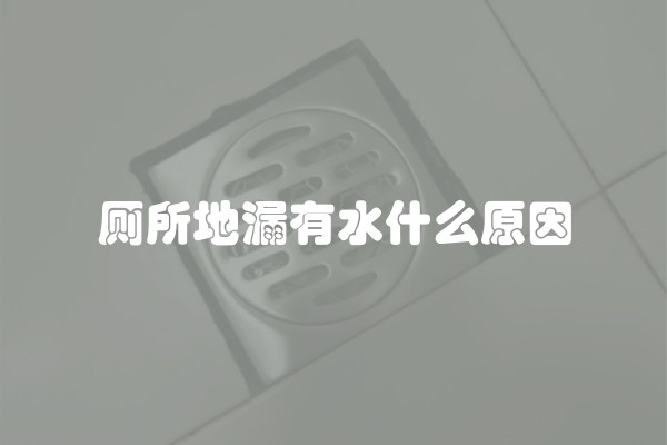 厕所地漏有水什么原因