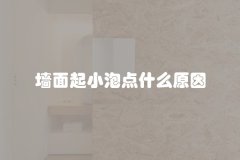 墙面起小泡点什么原因