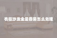 衣柜沙发全是霉菌怎么处理