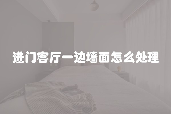 进门客厅一边墙面怎么处理