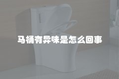 马桶有异味是怎么回事