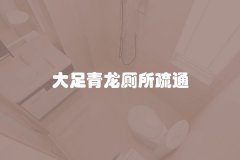 大足青龙厕所疏通