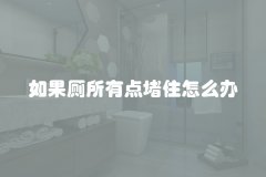 如果厕所有点堵住怎么办