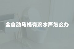 全自动马桶有滴水声怎么办