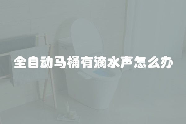 全自动马桶有滴水声怎么办