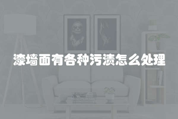 漆墙面有各种污渍怎么处理