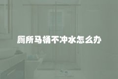 厕所马桶不冲水怎么办