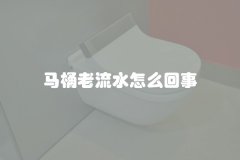 马桶老流水怎么回事