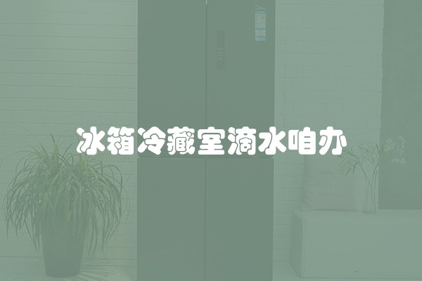 冰箱冷藏室滴水咱办