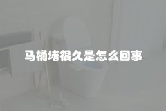 马桶堵很久是怎么回事