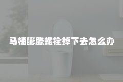 马桶膨胀螺栓掉下去怎么办