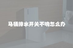 马桶排水开关不响怎么办