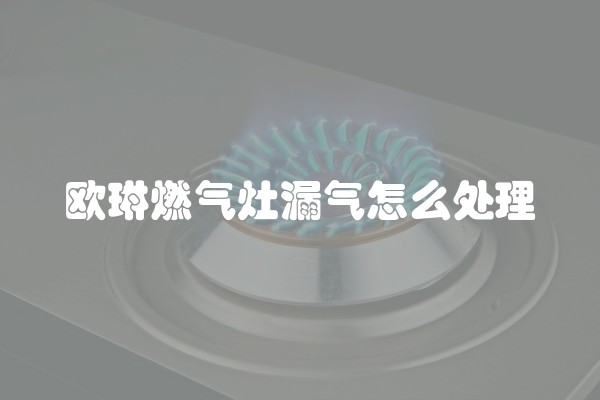 欧琳燃气灶漏气怎么处理