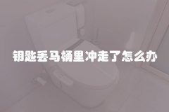 钥匙丢马桶里冲走了怎么办