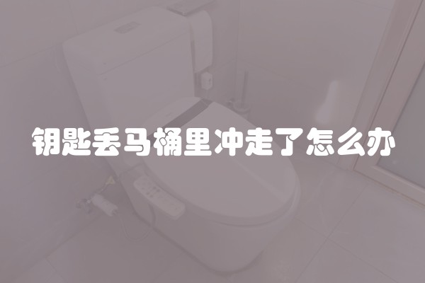 钥匙丢马桶里冲走了怎么办