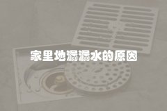 家里地漏漏水的原因