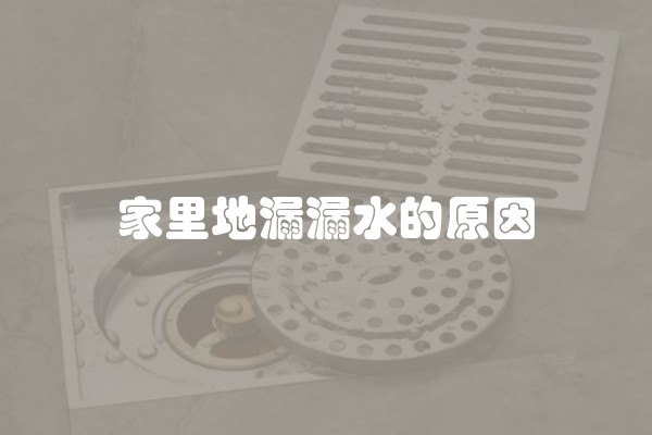 家里地漏漏水的原因