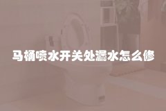 马桶喷水开关处漏水怎么修