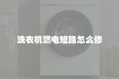 洗衣机漏电短路怎么修