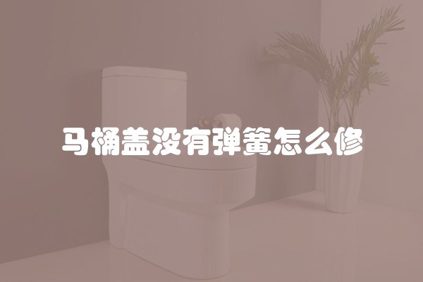 马桶盖没有弹簧怎么修