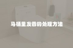 马桶里发霉的处理方法