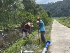 广东肇庆德庆县凤村镇路灯“亮化”工程暖民心