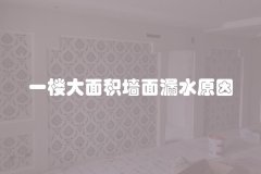 一楼大面积墙面漏水原因