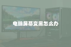 电脑屏幕变黑怎么办