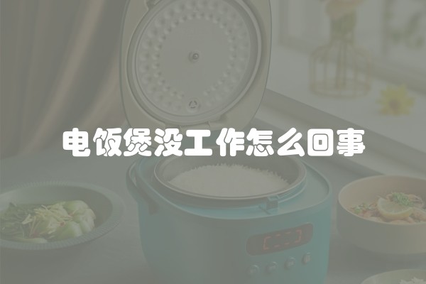 电饭煲没工作怎么回事