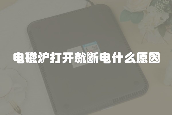 电磁炉打开就断电什么原因