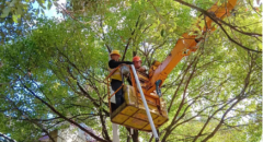 贵州安顺西秀区路灯换光源、降高度、增亮度为市民出行保驾护航