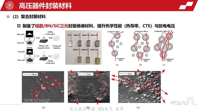 上海交通大学王亚林副教授：高压功率模块封装绝缘与可靠性