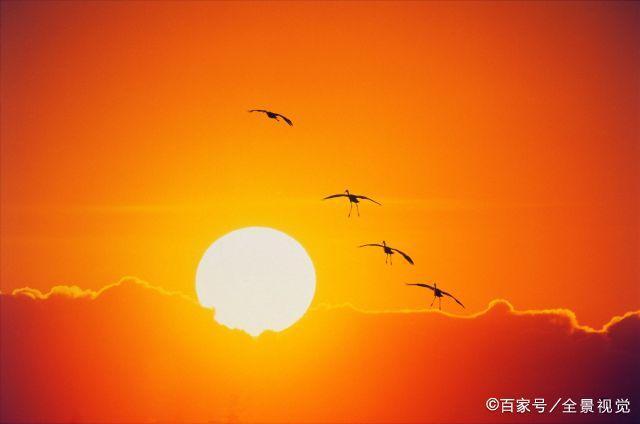 佛教：改变命运的八件事，越早做到，对你越好！