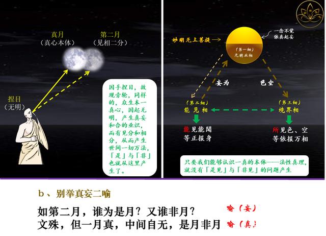 佛法楞严｜定慧师兄和你一起学习；十番显见之八：显见不分