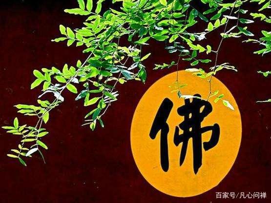 为何要念佛？老和尚告诉你答案，现在知道也不算太晚！