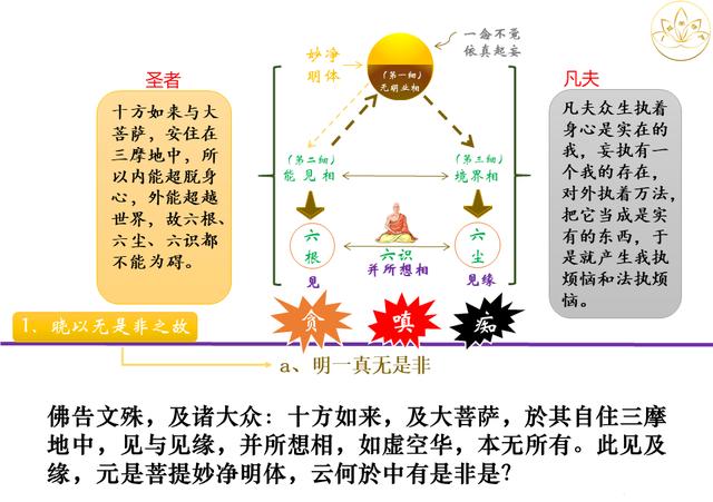 佛法楞严｜定慧师兄和你一起学习；十番显见之八：显见不分