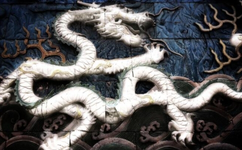 沙弥因一念贪欲转龙身，却不知当龙的种种痛苦