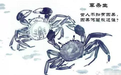 好了伤疤忘了疼，中断吃素再造杀业险丧命