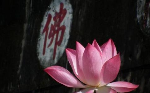 为何圣者并不主动干预世事