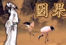 冷眼看因果:一命偿一命
